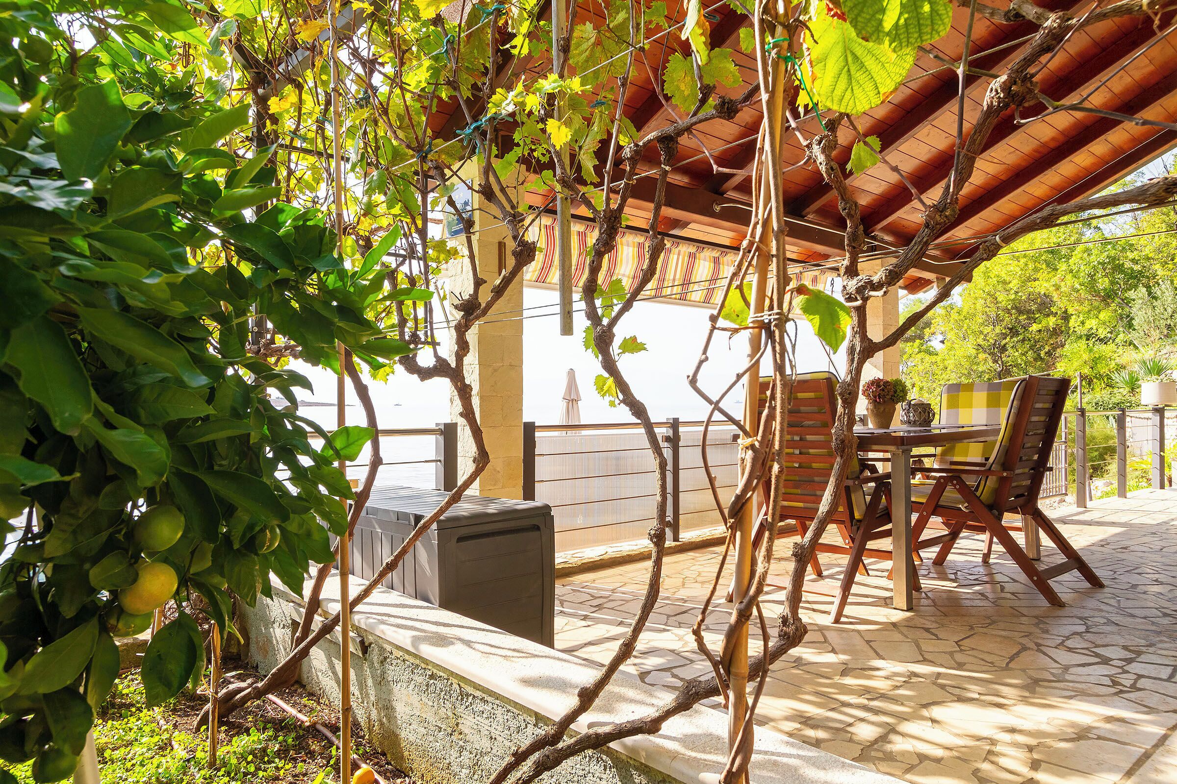 Studio (A1) | Terrasse/Patio