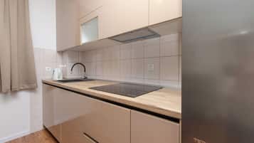 Apartment (A1) | Private kitchen | Fridge, stovetop, dishwasher, electric kettle