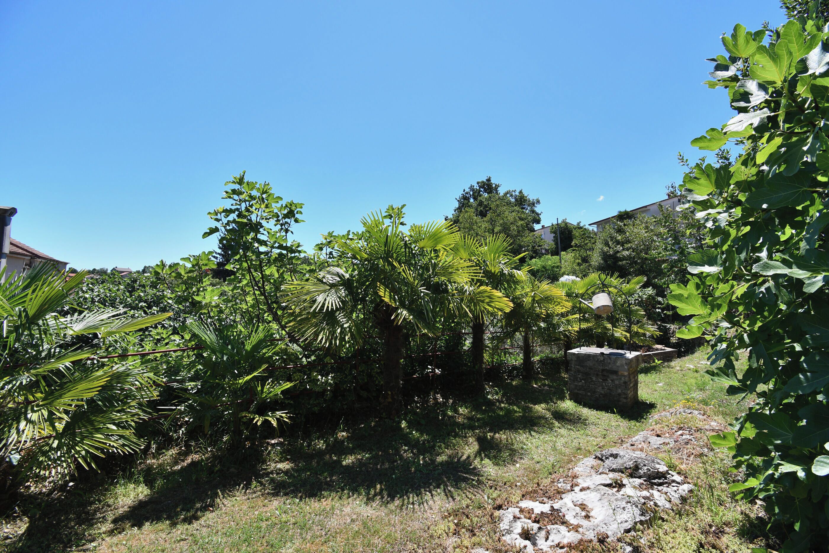 A garden with various plants, a stone structure, and a clear blue sky.