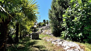 Un sendero de piedra que asciende por un exuberante jardín con diversos árboles y arbustos.