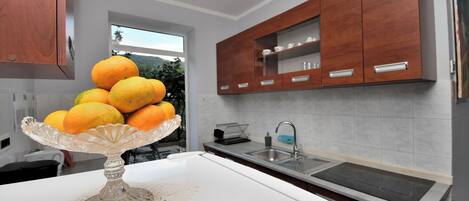 Apartment (A1) | Private kitchen | Fridge, microwave, oven, stovetop