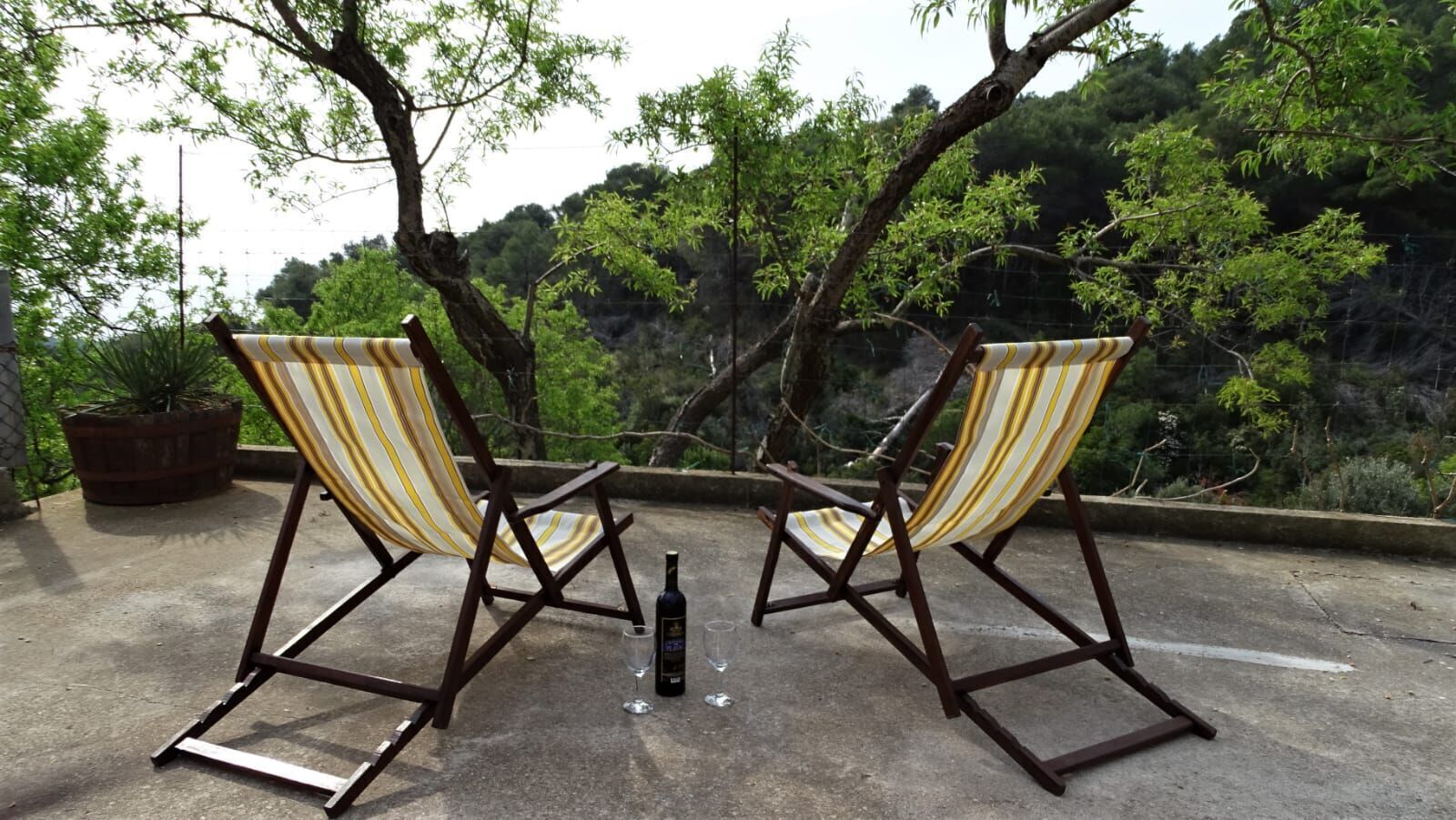 Studio (A1) | Terrace/patio