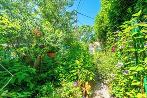 Courtyard - Apartments Mrijana D (Rab)