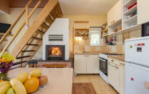 House | Private kitchen | Fridge, microwave, oven, stovetop - House Jasenak (Gracac)