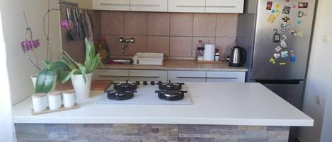 Appartement (A1) | Cuisine privée | Réfrigérateur, four à micro-ondes, un four, surface de cuisson