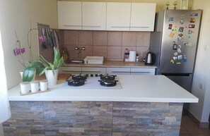 Apartment (A1) | Private kitchen | Fridge, microwave, oven, stovetop