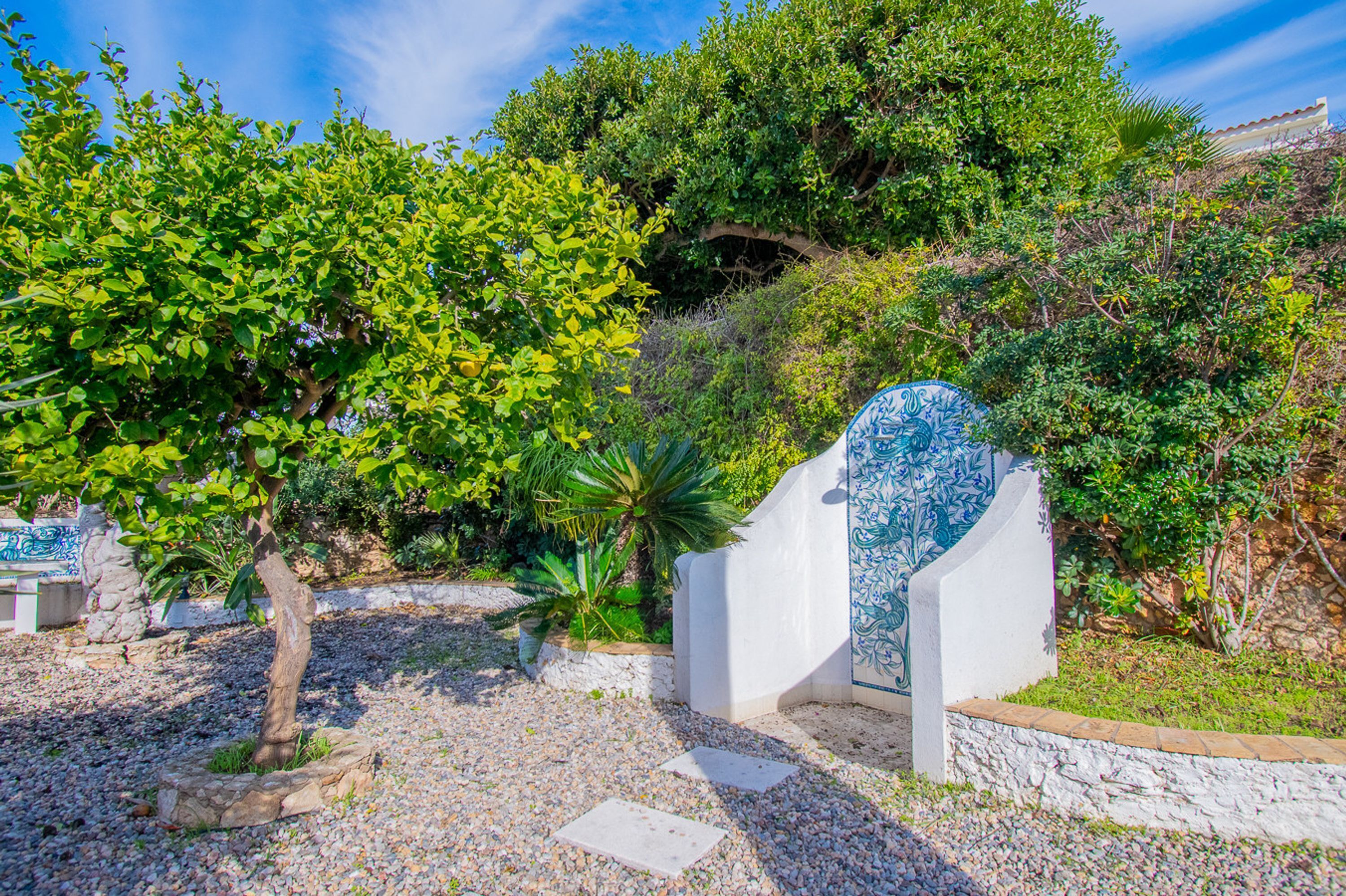 A garden with a white wall and a blue door, surrounded by trees and plants.