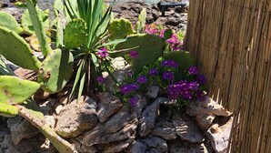 Blick auf die Küste mit Kakteen und violetten Blüten im Vordergrund, einem Bambuszaun und Booten auf dem Wasser.