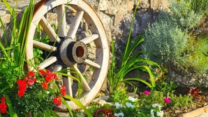 Ein hölzernes Rad in einem Garten mit verschiedenen Pflanzen und Blumen.