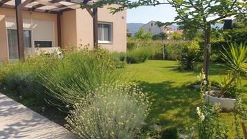 تصميم المبنى