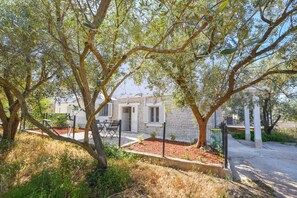 تصميم المبنى