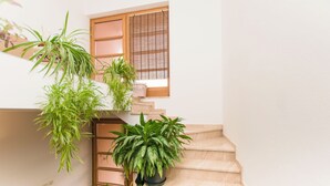 A staircase with multiple potted plants. - Apartments La Mer (Pasman)