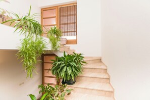 A staircase with multiple potted plants. - Apartments La Mer (Pasman)