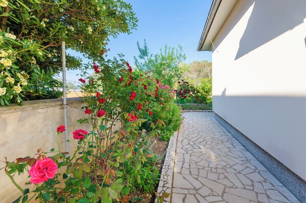 A garden with red roses and green foliage, a stone pathway, and a white building. - Apartment Nikola (Rab)