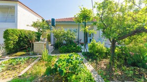 A garden with various plants and a pathway leading to a building with a tiled roof. - Apartment Nikola (Rab)