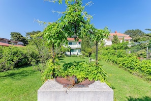 Ein Garten mit einem Betonpflanzbehälter, einem Metallzaun und einem Haus im Hintergrund.
