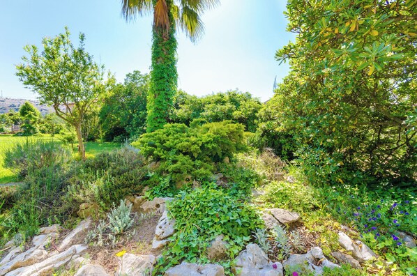 A garden with various plants and a palm tree. - Apartments Ruzica M (Lopar)