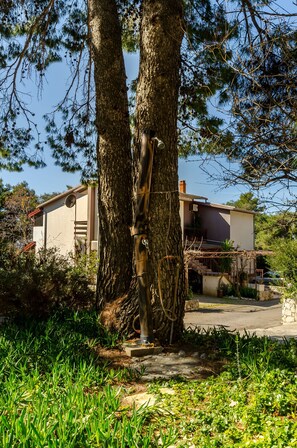 Detalle del exterior