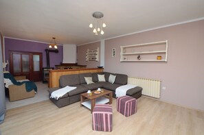 Villa | Living room | DVD player - Villa Mirka (Barban)