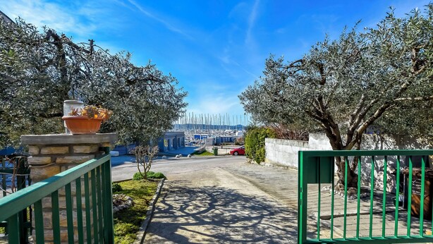 A pathway leading to a marina with boats, flanked by olive trees and a stone wall. - Apartments Jasmine (Biograd na Moru)