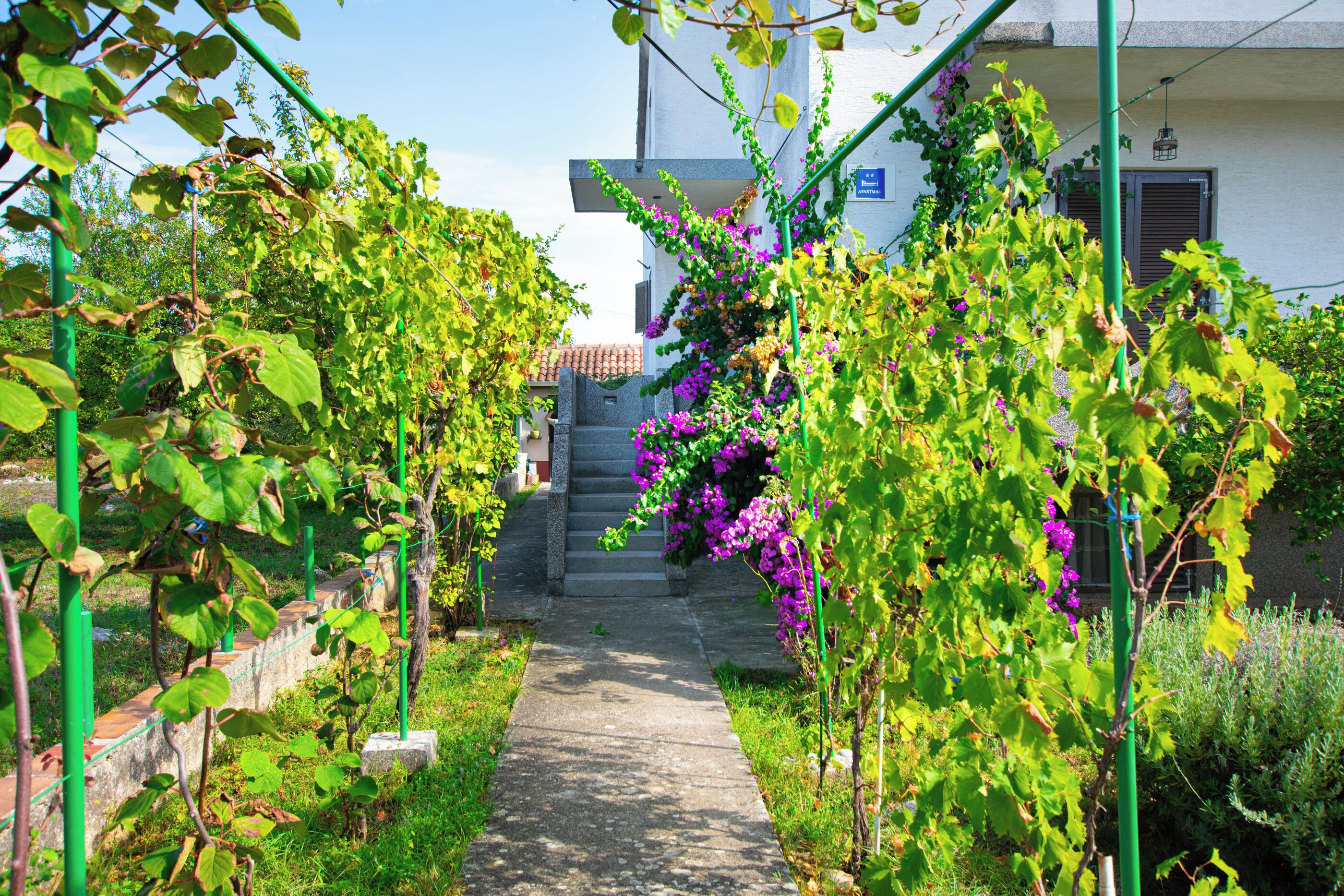 A pathway leading to a building with a stone staircase, surrounded by greenery and flowering plants.