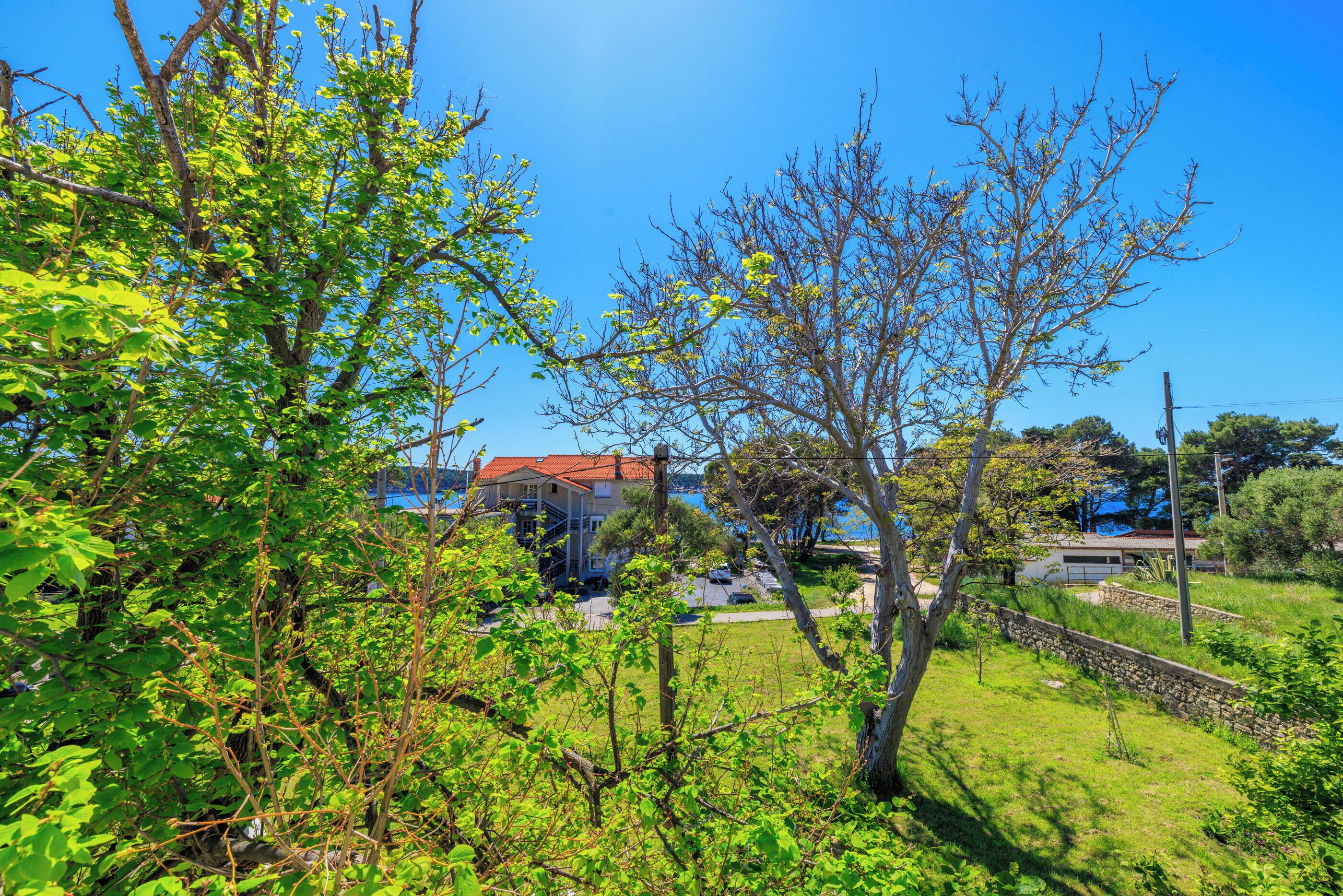 Apartment (A2) | Garden view