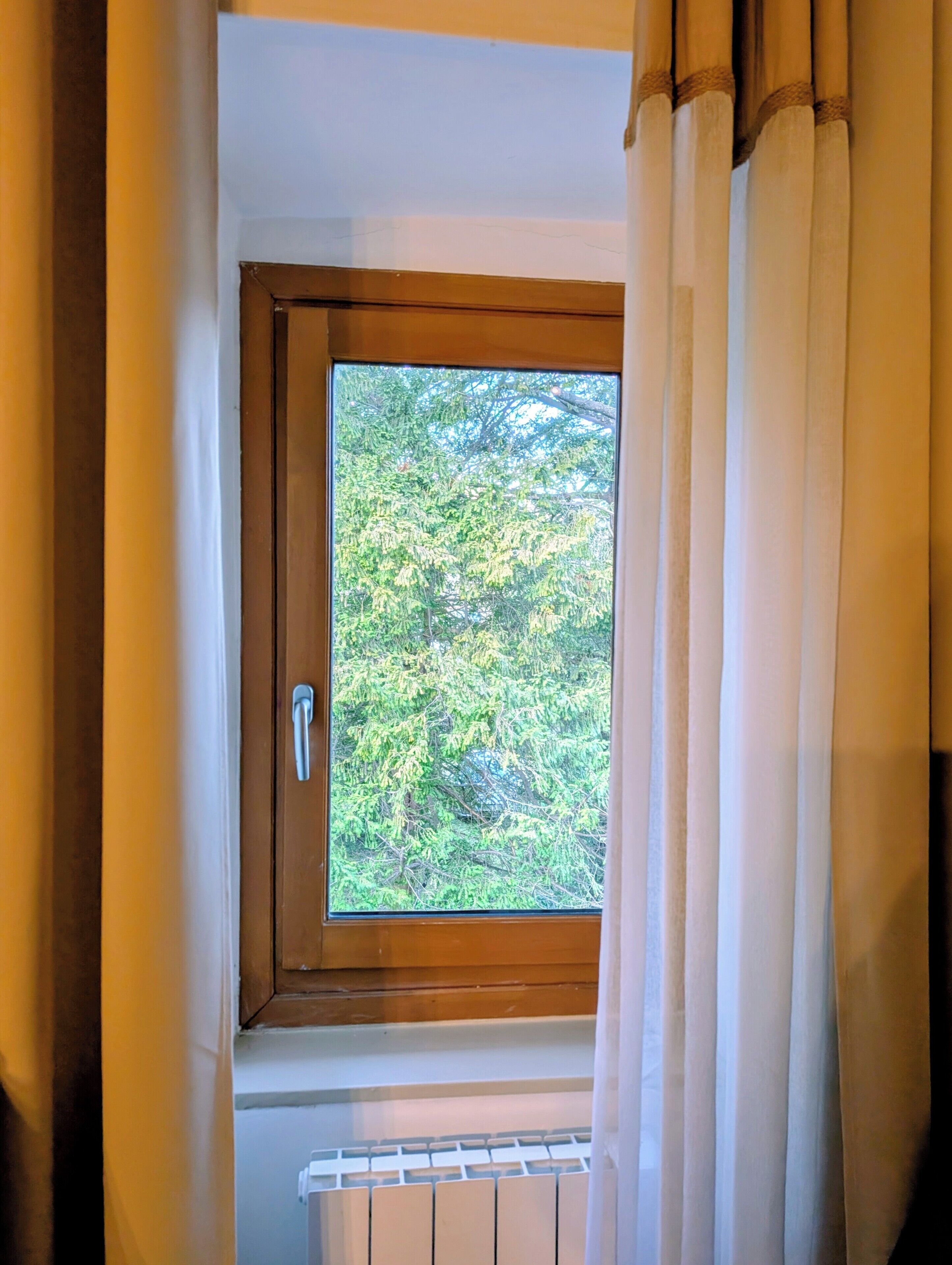Una ventana con vista a árboles.
