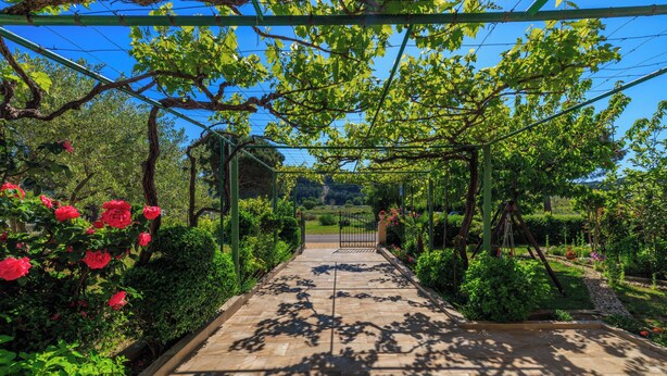 A garden pathway with a pergola structure, surrounded by lush greenery and flowering plants. - Apartments Ivan C (Lopar)
