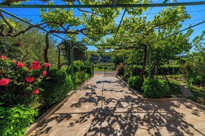 Un sentier de jardin agrémenté d’une pergola, entouré d’une végétation luxuriante et de plantes en fleurs.