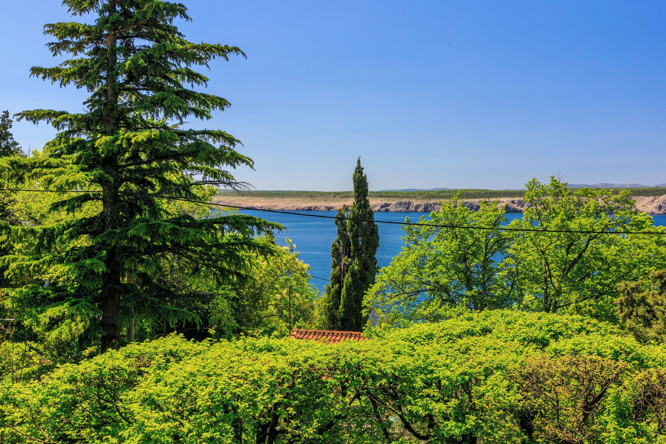 A lush green landscape with a clear blue sky, a large tree, and a distant view of a body of water.