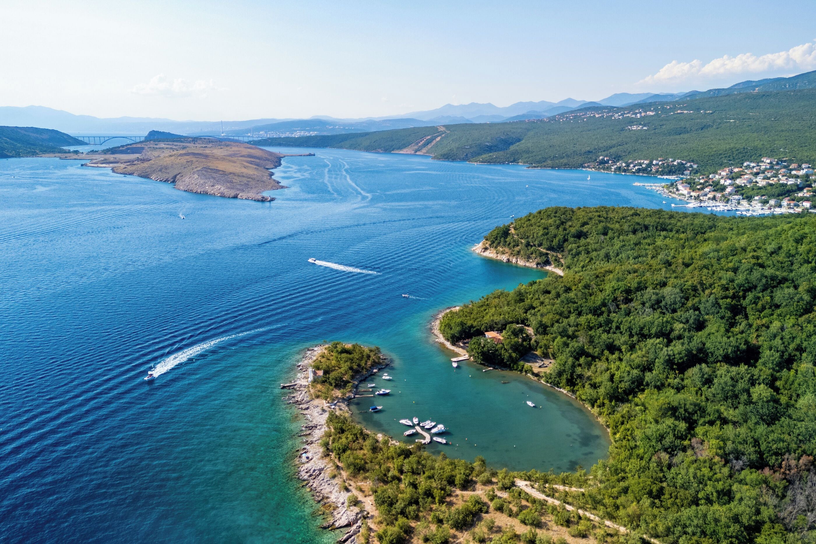 A coastal landscape with a bridge, a marina, and a densely forested area.