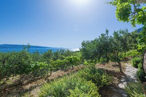 Apartment (A6) | Water view - Apartments Nada (Bol)