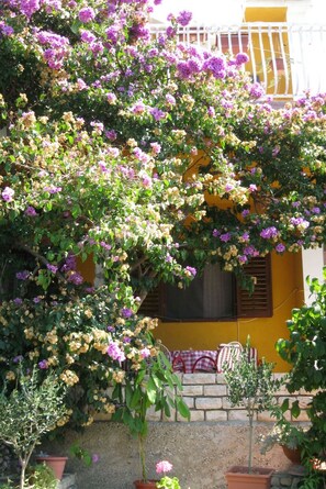 A building with a yellow facade, a balcony with a red and white checkered tablecloth, and a potted plant in the foreground. - Apartments Mala Kuca Kraj Mora (Sibenik)