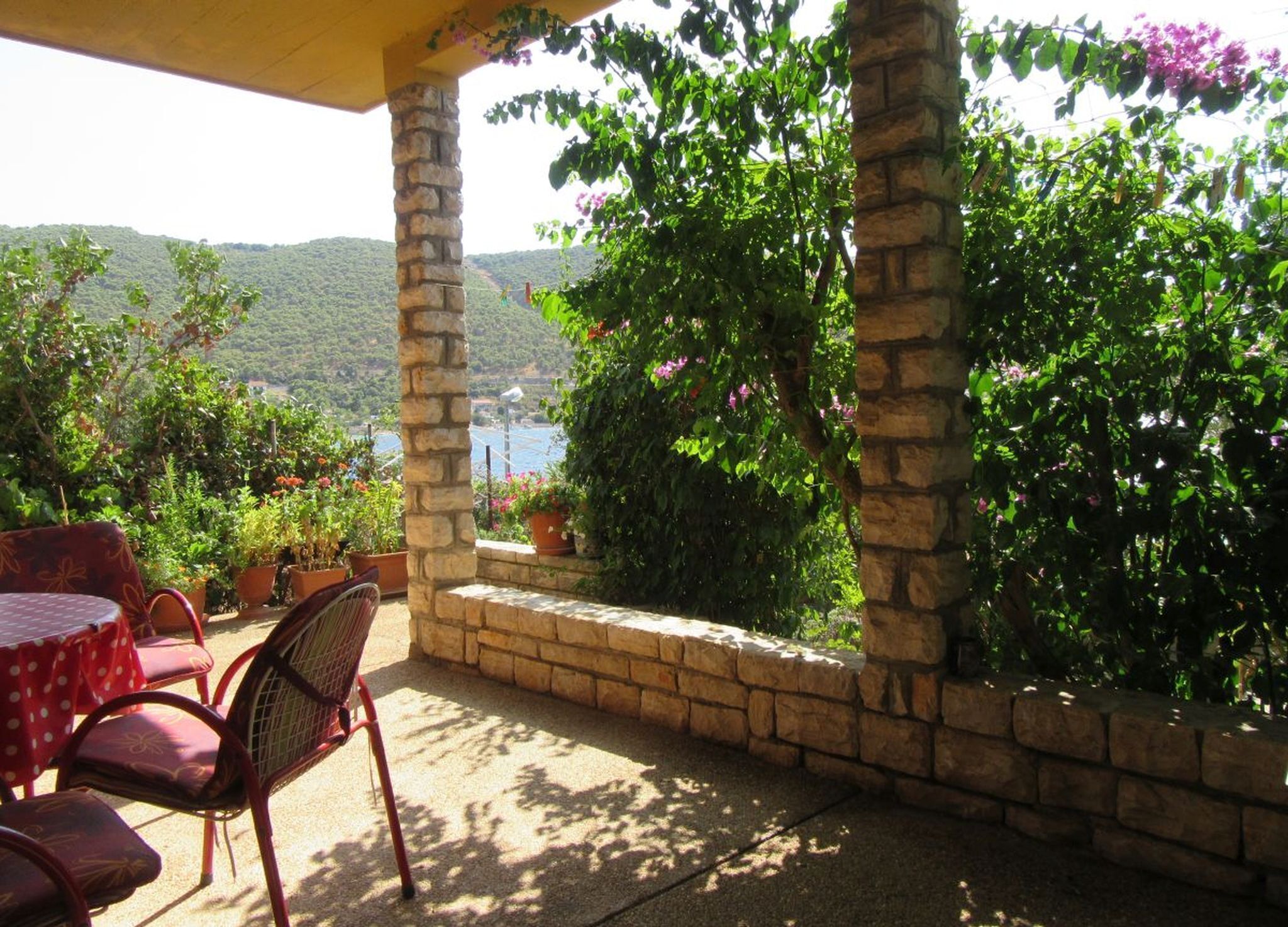 Teras/patio