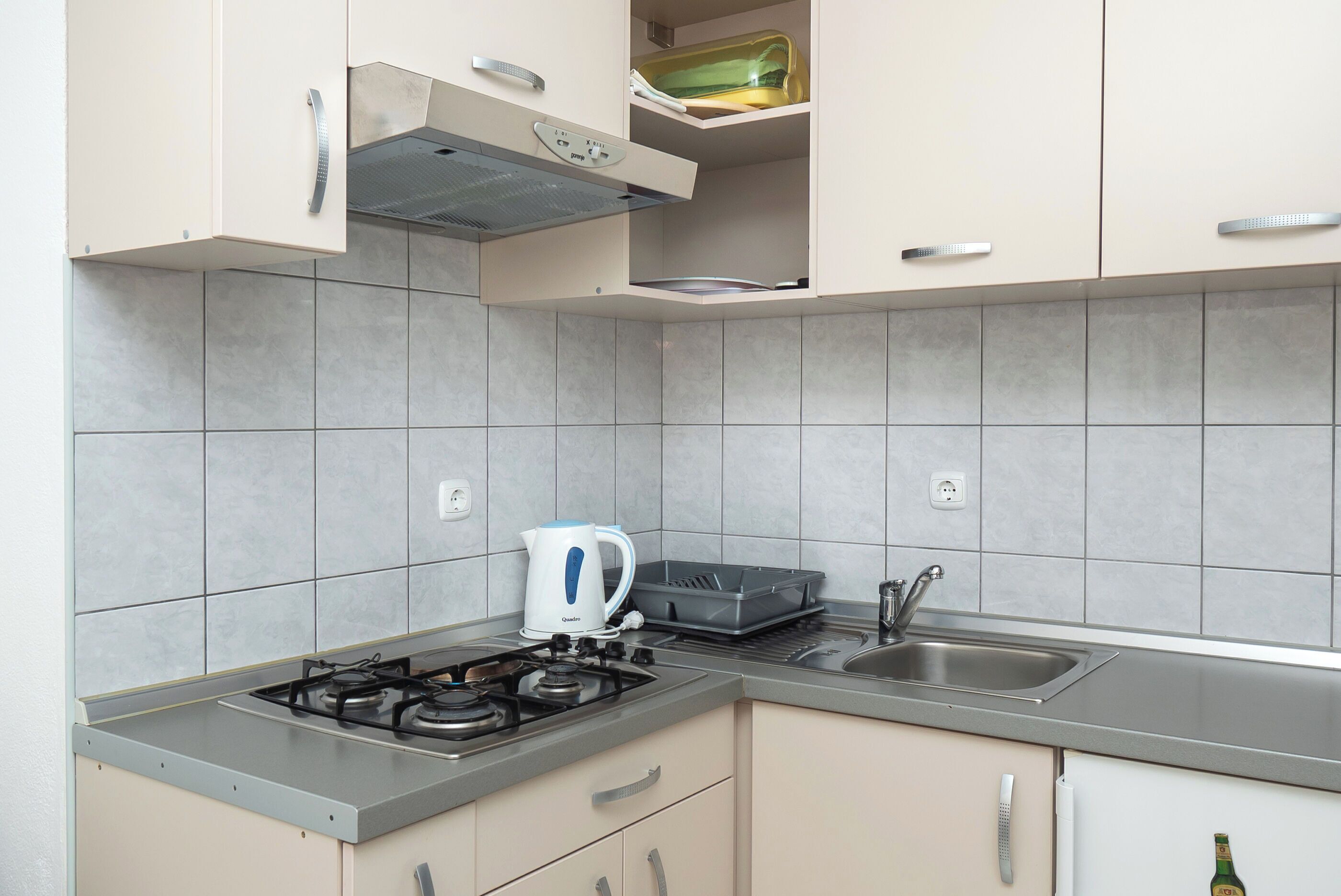 Apartment (A2) | Private kitchen | Fridge, electric kettle