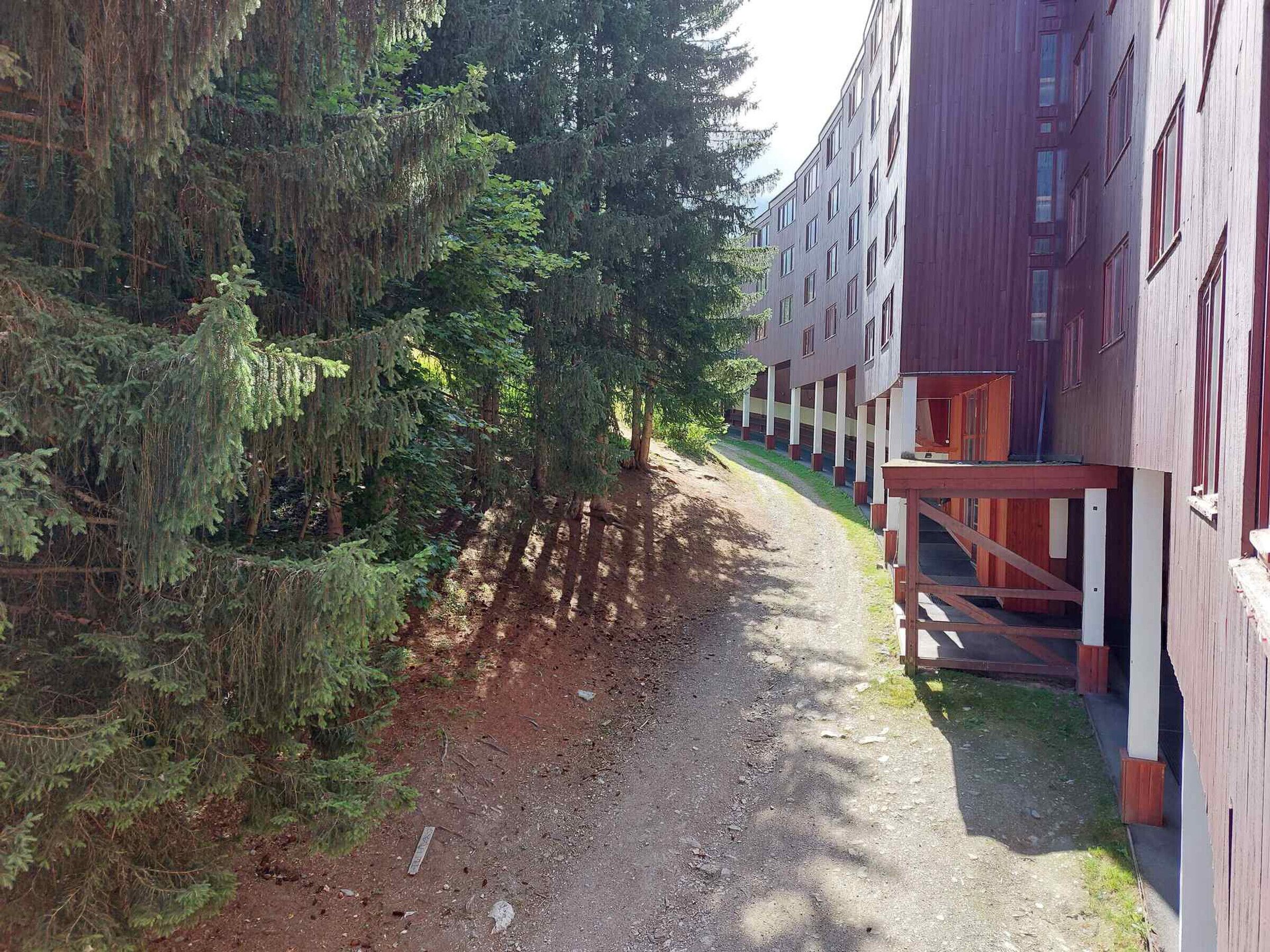 Ein Weg, gesäumt von hohen Bäumen, der zu einem Gebäude mit Holzfassade und Balkonen führt.