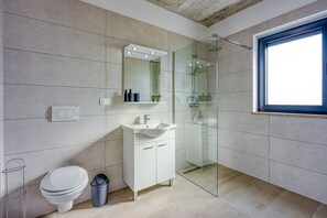 A modern bathroom with a glass shower enclosure, a white sink, and a toilet.