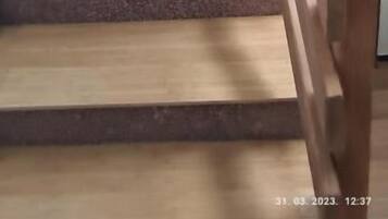 Apartment (A1) | Interior