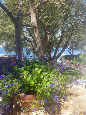 Building design - Apartments Roza (Rogoznica)