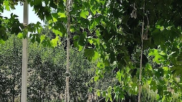 DĂ©tail de lâintĂ©rieur