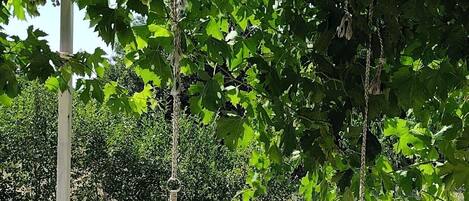 การตกแต่งภายใน