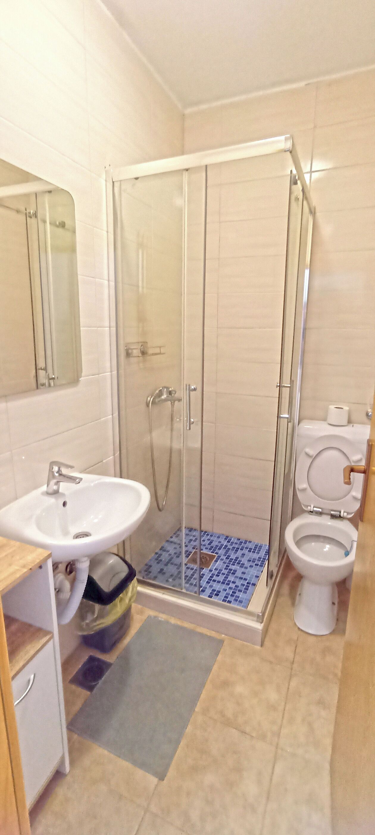 Un baño con ducha de mampara, lavamanos e inodoro.