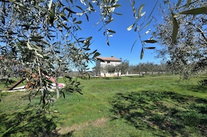 Innergård