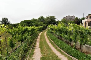 Innenhof