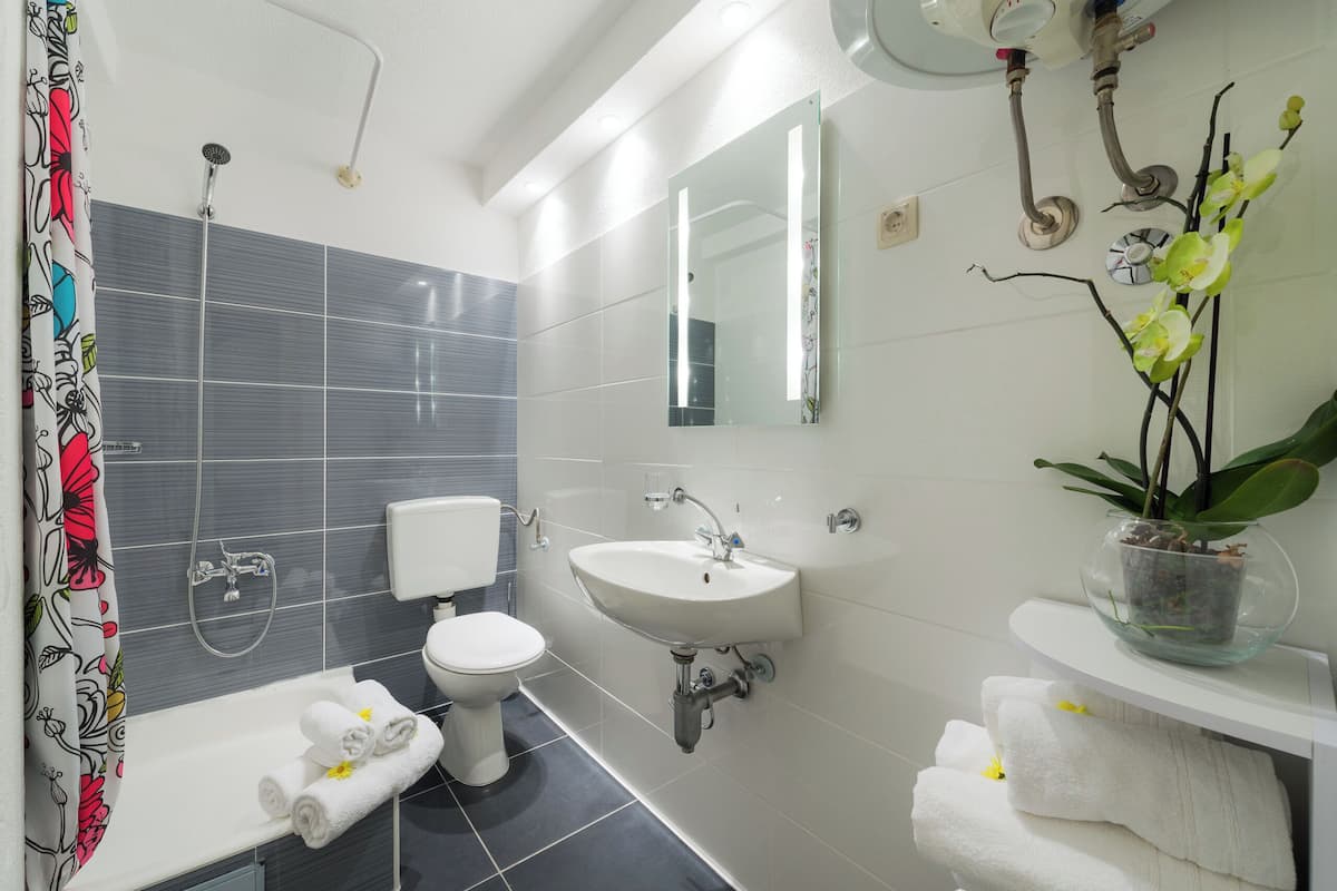Apartment (A4) | Bathroom