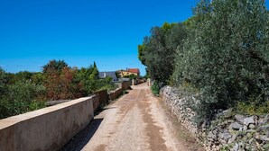 A rural road flanked by olive trees and a stone wall, leading to a house with a red roof. - House Peroj (Vodnjan)