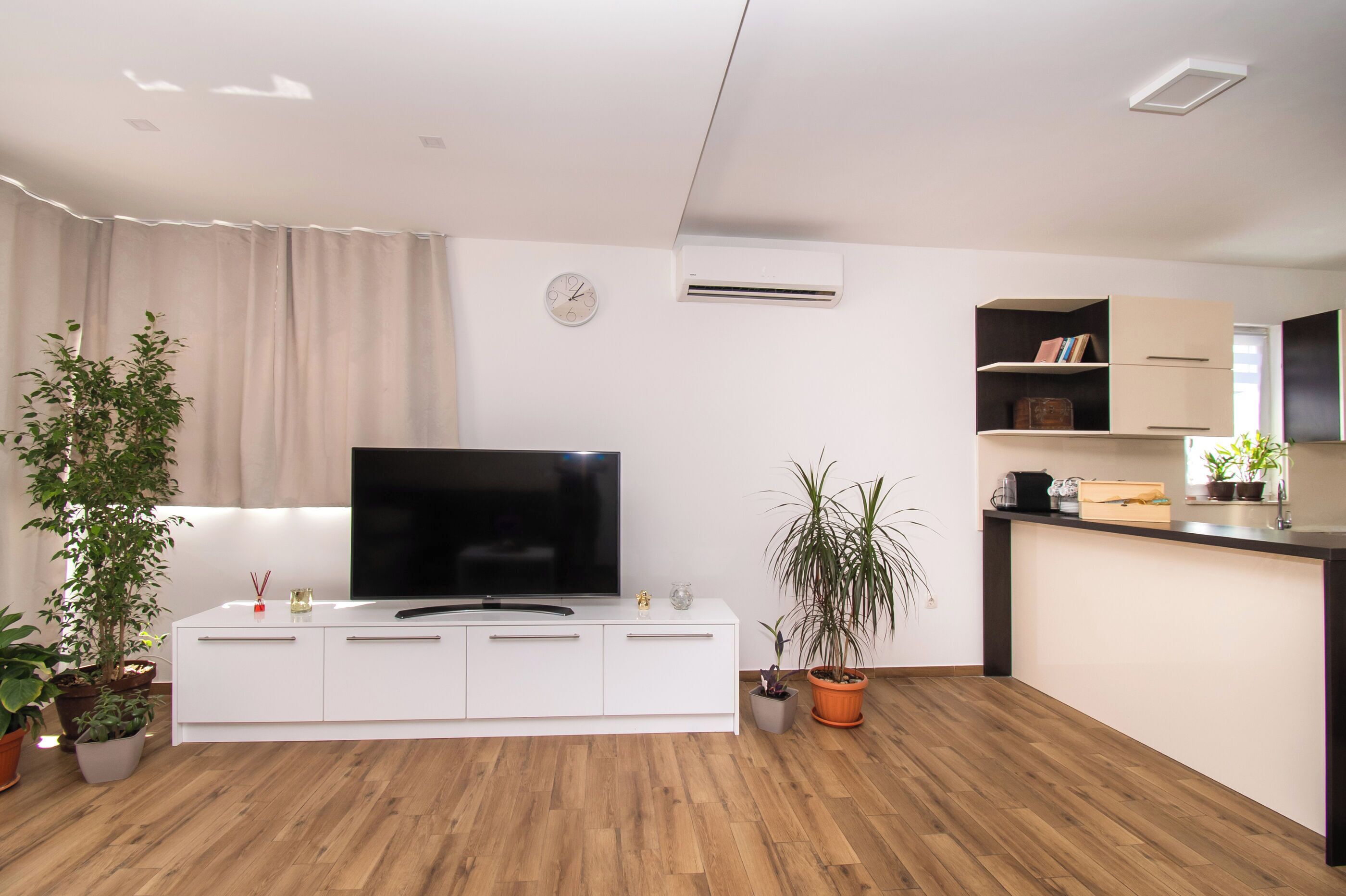 A modern living room with a flat-screen TV, white cabinetry, wooden flooring, and potted plants.