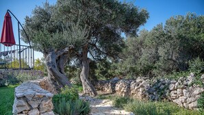 Un sentiero in pietra conduce a un ombrello rosso e a un grande albero.