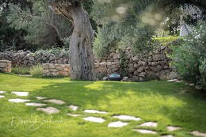 Courtyard - Villa Island Villa Adriana in Olive Garden (Novalja)