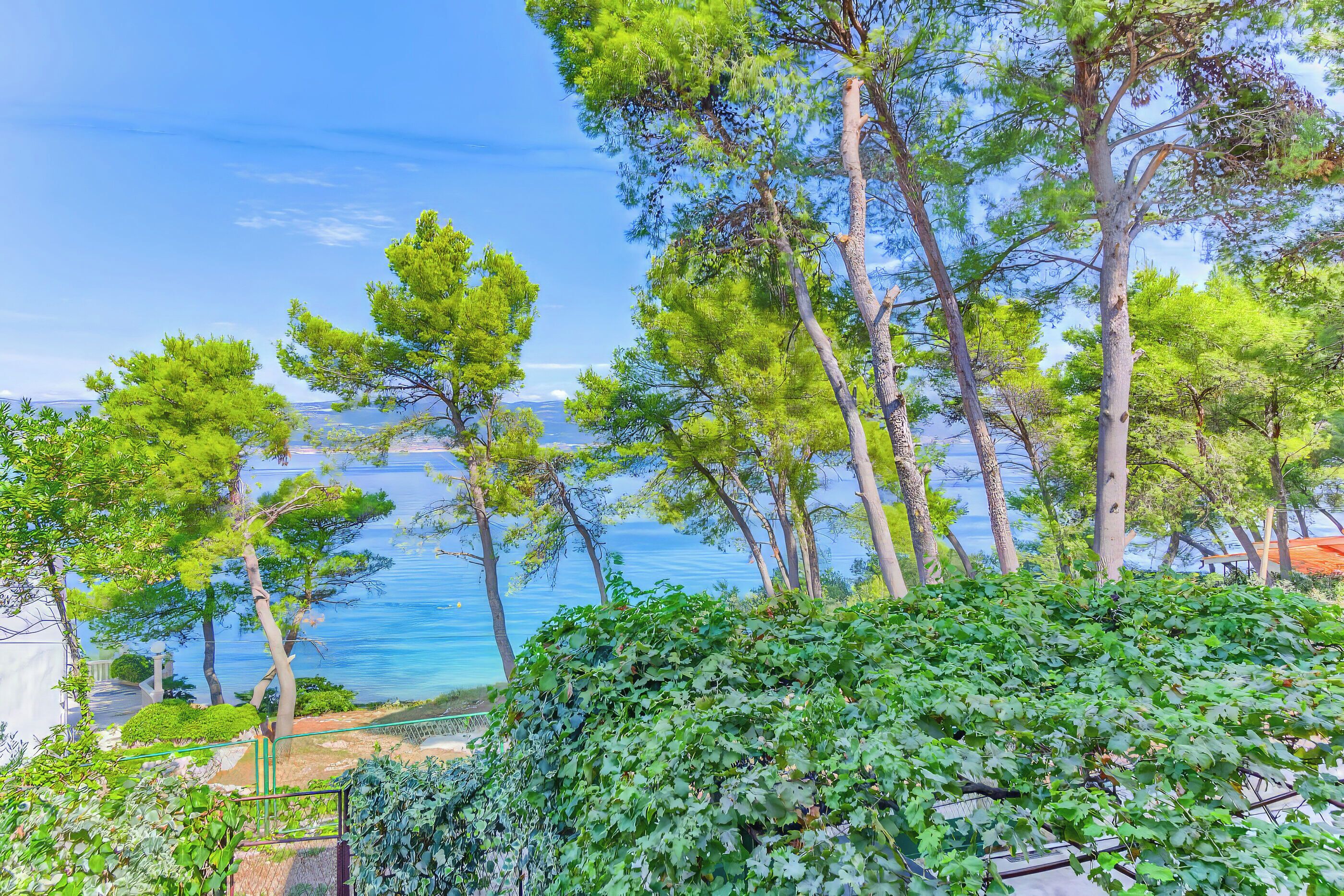 숙박 시설 구내